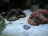 DSCN0681.JPG