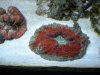 DSCN0682.JPG