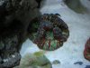 DSCN0683.JPG