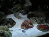DSCN0684.JPG