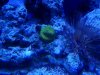 Tank pictures 7-09 007.jpg