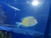 Tank pictures 7-09 023.jpg