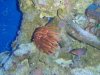 Tank pictures 7-09 025.jpg