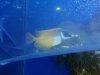 Tank pictures 7-09 030.jpg