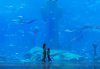 atlantis dubai2.jpg