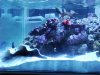 TANK2.jpg