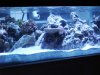 TANK4.jpg