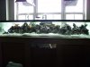 TANK7.jpg