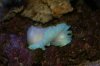 DSC07498.jpg
