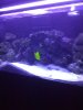 Tank shot2.jpg