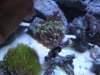 DSCN0700.JPG