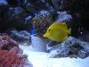 DSCN0702.JPG