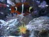 DSCN0705.JPG
