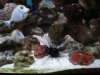 DSCN0734.JPG
