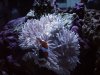 reef9.jpg