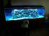 100_1386.JPG