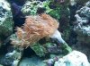 100_1394.JPG