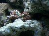 100_1396.JPG