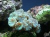 100_1398.JPG