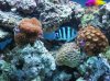 100_1411.JPG