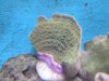 DSCN0738.JPG