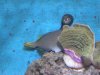 DSCN0739.JPG