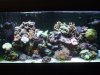 DSCF1620a.JPG