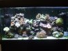DSCF1621a.JPG