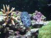 DSCF1622a.JPG