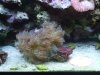 DSCF1624a.JPG