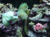 DSCF1628a.JPG