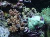 DSCF1631a.JPG