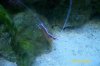 100_1264.jpg