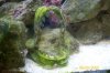 100_1268.jpg