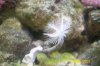 100_1269.jpg