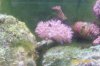 100_1273.jpg