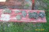 100_1279.jpg