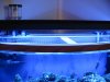 Aquarium-017.jpg
