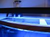Aquarium-018.jpg