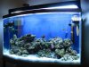 Aquarium-022.jpg