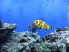 Aquarium-026.jpg
