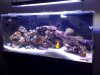 Tank shot3.jpg