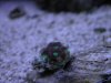 DSCN4351.jpg