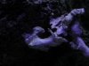 DSCN4352.jpg