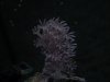 DSCN4354.jpg