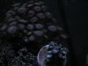 DSCN4355.jpg
