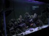 DSCN4358.jpg