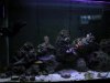 DSCN4360.jpg