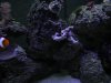 DSCN4362.jpg