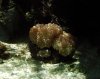 IMG_0057.jpg